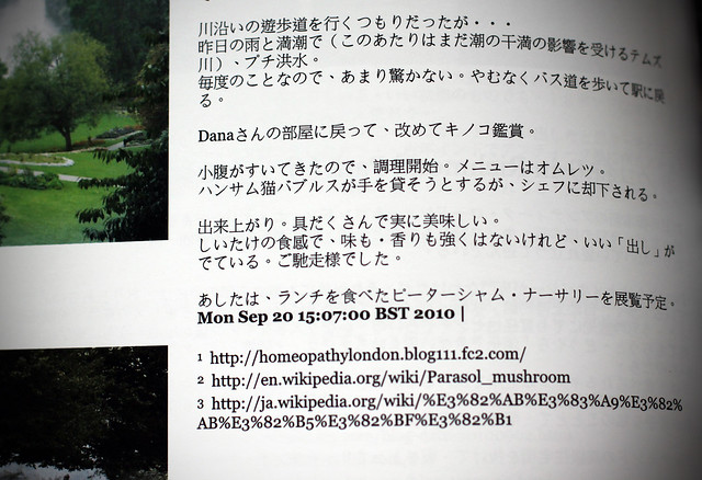 Japanese sentences in Blurb book.