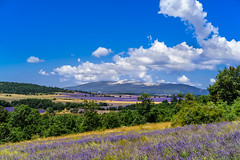 Landscape Provence