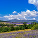 Landscape Provence