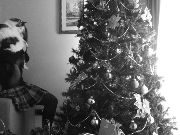Christmas tree, I and Joyce