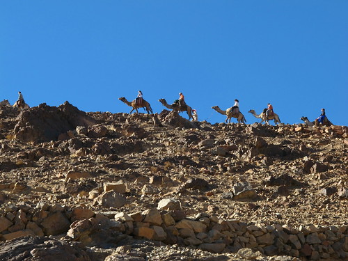 Some Folks take a Camel up Mt Sinai