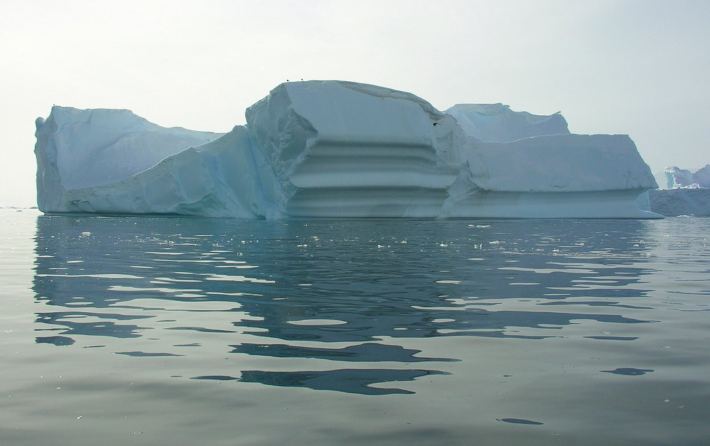 ANTARCTICA2010-116 Foyn Barbour 南极 Foyn湾