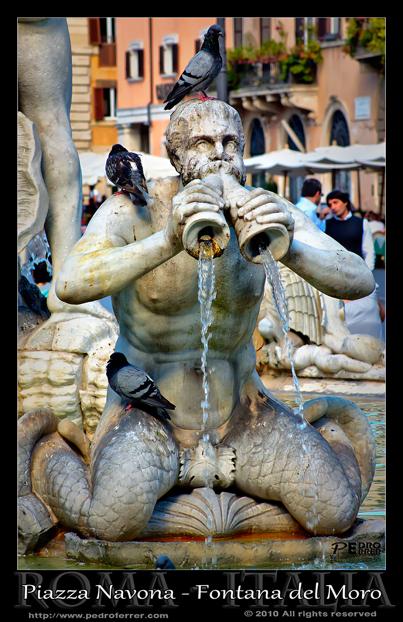 Roma - Piazza Navona - Fontana del Moro