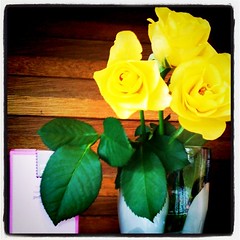 lovely yellow rose<3