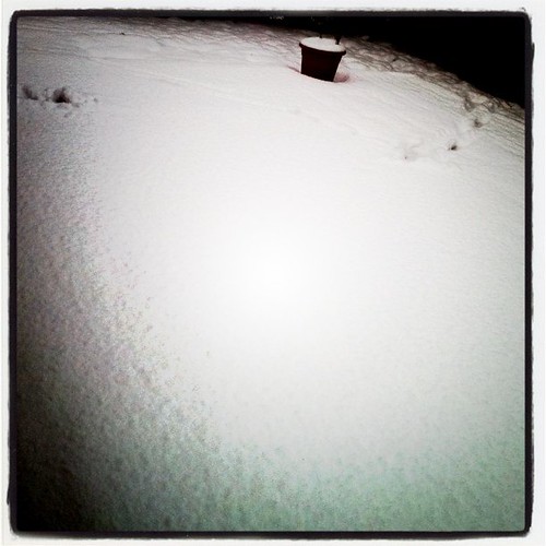 Massor av snö i Skåneland!