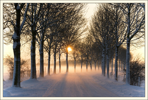 Misty winter afternoon