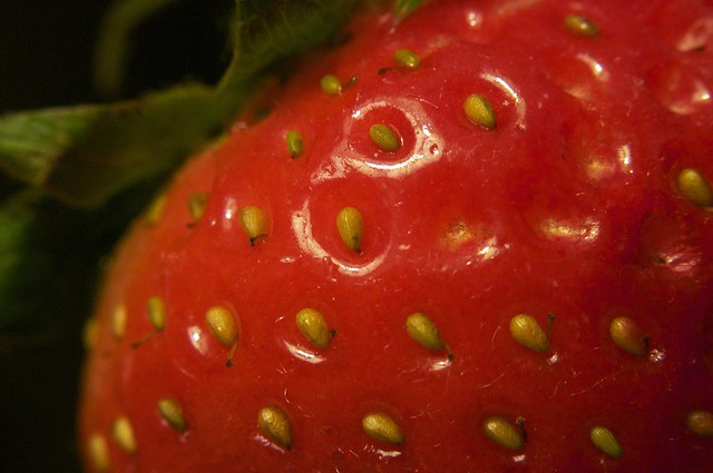 12-25-10strawberry
