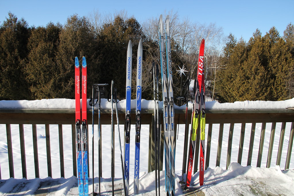 Pretty skis all in a row