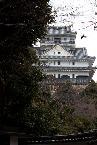 Castillo de Gifu