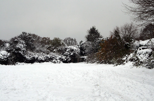 Snow-Nov_10_1