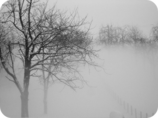 Snow & Fog
