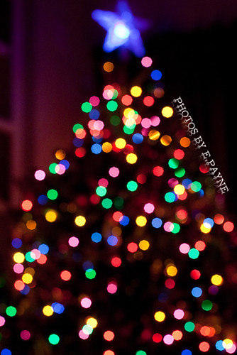 O Christmas Tree by Eric Payne