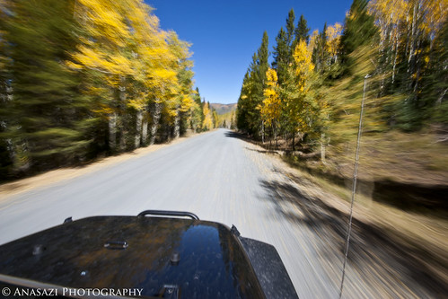 Fall Colors in Motion