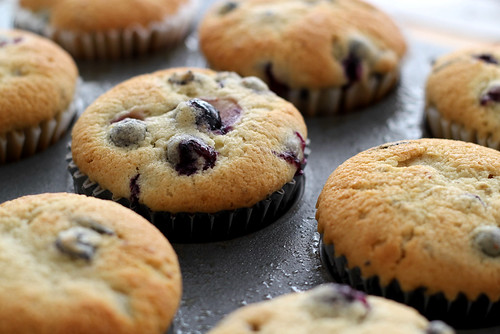 Blueberry Muffins. Ready to Eat.