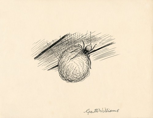 ink sketch of spider with ball of thread