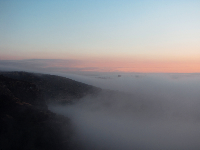 Fog at dawn