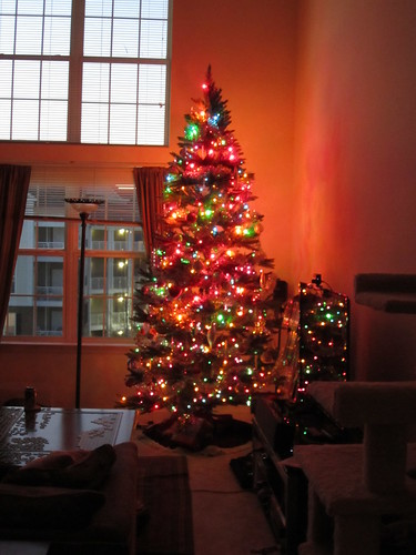 Our Solstice Tree!