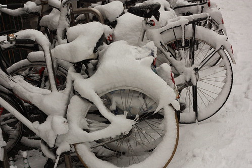 Bicicleta na neve em Haia