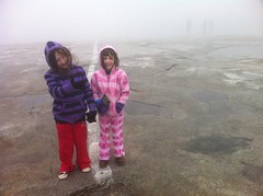  Top of Stone Mountain in the Fog 
