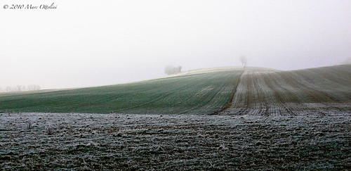 Frozen fields II