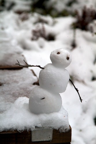 Summer Snowman
