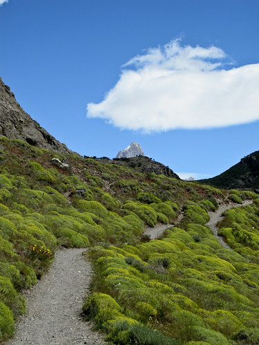 Mount Fitz Roy Near El Chalten - Patagonia, Argentina
