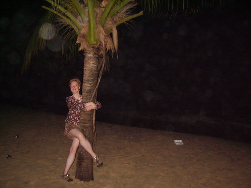 Palm tree on a club beach