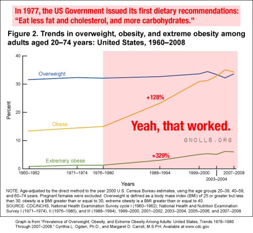 Fighting obesity with the US Government's dietary recommendations.