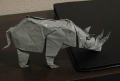 Rhinoceros (Montroll)