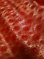 Red lace, golden satin