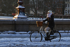 Copenhagen Winter Day