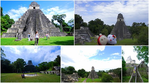 提卡爾金字塔Tikal5