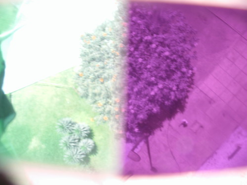 Visible/infrared of a tree from above, with bifocal filter