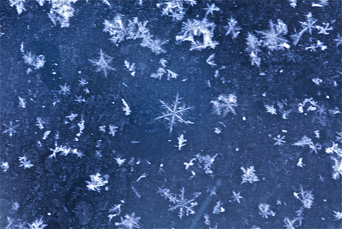 snow flakes on indigo