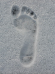 DSCN1494-snow-foot