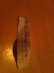  Sophies Fortune 