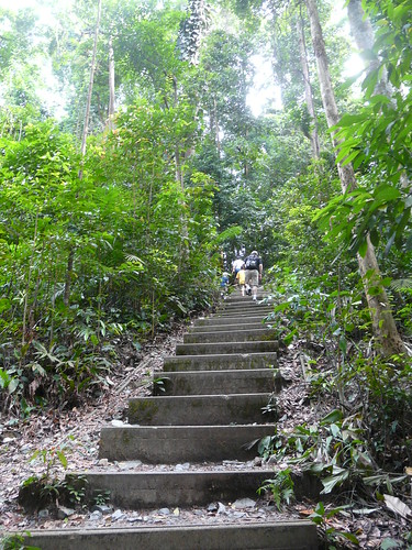 Keep Climbing (Bukit Timah)