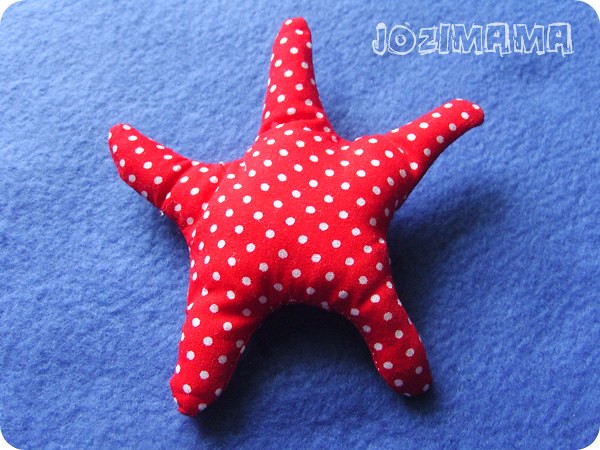 rozgwiazda / starfish