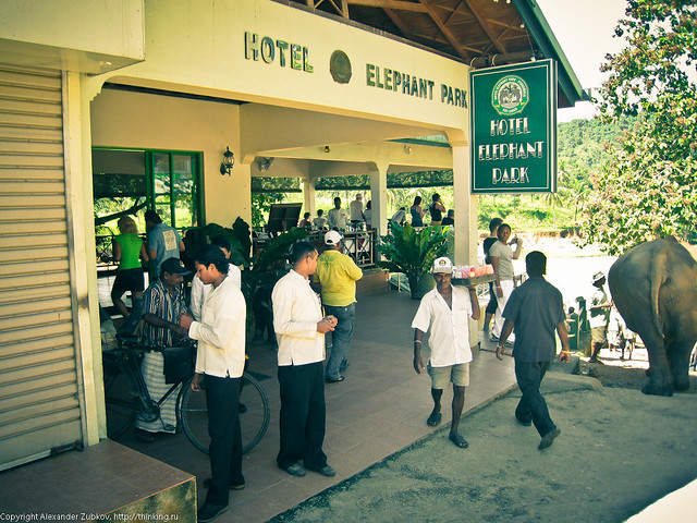 Отель Elephant Park