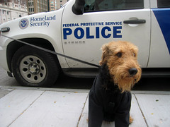 Airedale Homeland Security