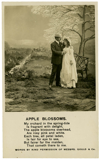 Apple Blossoms_tatteredandlost