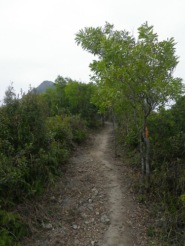 11/03/2011 Razor Hill Trail Run