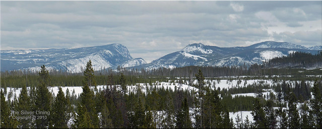 Yellowstone Ski Panorama copyright x