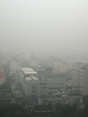 2011-01-23 - Shanghai sights - Fog