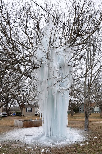 Ice tree 3