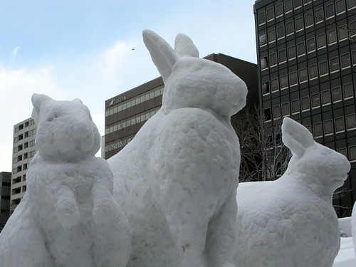 three snow rabbits