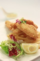 Finger Food - Breaded Dory Fish