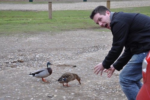 Chasing Ducks in Wells!