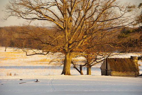 Lone cabin in a snowy field at Valley Forge