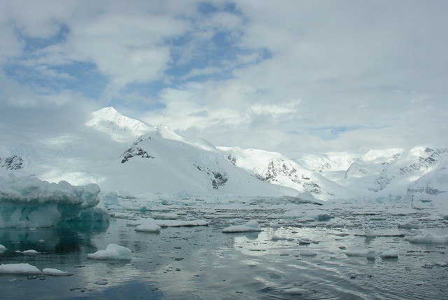 ANTARCTICA2010-493 Andvord Bay 南極 Andvord灣